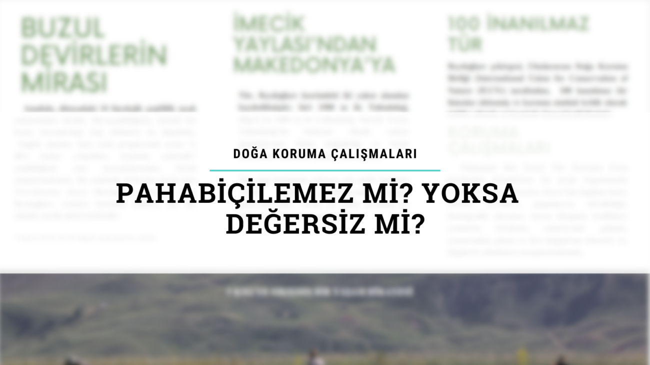 Paha Biçilemez mi Değersiz mi Broşürü