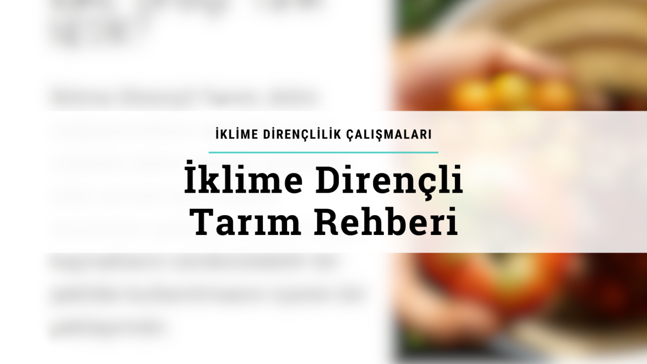 İklime Dirençli Tarım Ağı Rehber Kitapçığı