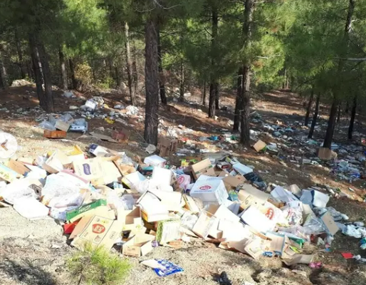 Orman Yangınlarında Atıkların Rolü: Topluluk Temelli Farkındalık ve Çözüm Stratejileri Politika Notu